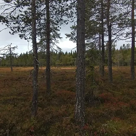 Astridstua